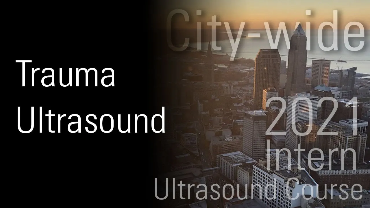 Focused Assessment with Sonography in Trauma (FAST)