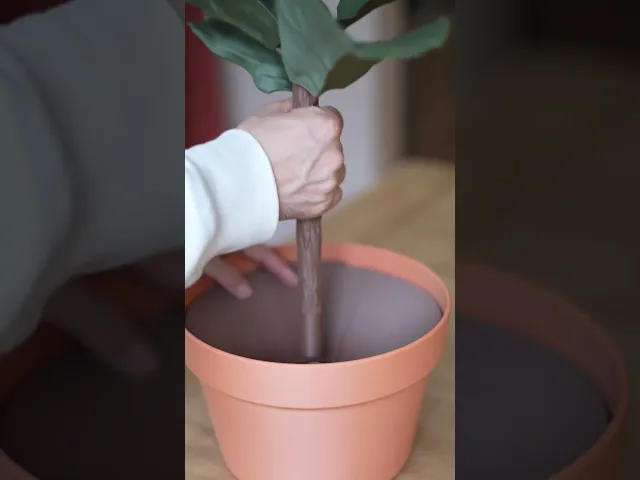 Figgy Bank - Fiddle Leaf Fig Piggy Bank video thumbnail