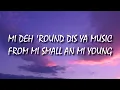Damian Marley - Me Name Jr. Gong [Lyrics]