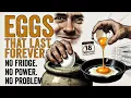 Lagu Stop Hoarding Canned Goods — The 1800s Glassing Method That Preserves Eggs for 2 Years Withou