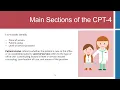 What are CPT Codes and HCPCS Codes
