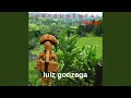 Download Lagu Wanda