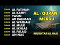 Download Lagu BACAAM AL-QURAN Yang Sangat Merdu Menangis | Alfatiha, Alkahfi,Yasin,Alwaqia, Arrahman, Almoeathat MP3