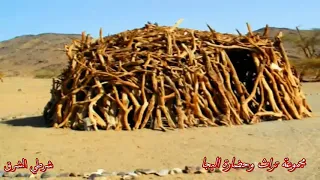 الفنان البجاوي سيدنا الامين اغنية اوقبل 