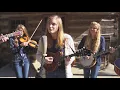 Download Lagu Gentle On My Mind - The Petersens