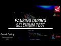 Pause during Selenium test