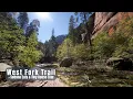 West Fork Trail - The BEST Fall Hike in Sedona Arizona TinyCamp Tour More