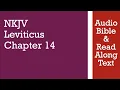 Leviticus 14 - NKJV