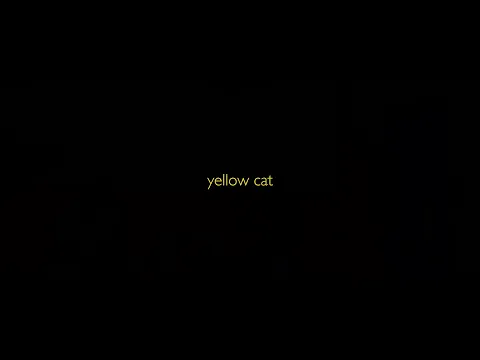 #BIFF2020 A Window on Asian Cinema - Yellow Cat / 아시아 영화의 창 - 노랑 고양이
