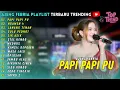 Download Lagu PAPI PAPI PU - NGAMEN 4 - LANANG TENAN | AJENG FEBRIA FULL TRENDING TERBARU