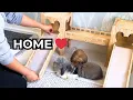 Lagu Making a Home for My Bunnies 🤍