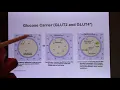 UT Bio365S Human System Physiology Online Lecture - Membrane Movement02