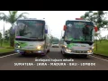 Download Lagu Best Scorpion Holidays Bus