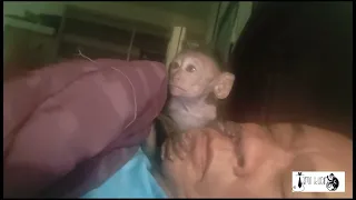 Baby Apple Jump for Milk