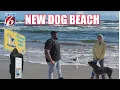 Check out Volusia County s newest dog beach in Daytona
