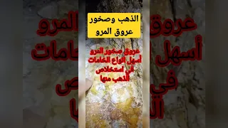 اذا كنت في بداية طريقك في عملية استخلاص الذهب فعليك بصخور المرو او الكوارتز 