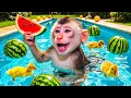 Download Lagu Monyet BiBi memanen emas dan membuat permen jeli bersama anak anjing yang lucu - MONO BIBI ESP