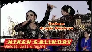 Download NIKEN SALINDRY terbaru di ajar Samboyo || Ki Anom Dwijo Kangko || Bojonegoro,31 Des 2022 MP3