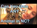 What Exotic Pets are Legal and Illegal in North Carolina