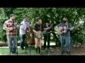 Download Lagu You Are My Sunshine - Little Chicken