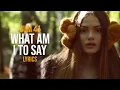 Download Lagu Sum 41 - What Am I To Say (Lyric Video)