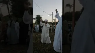 افراح البوابه 