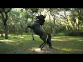 4852 S Peninsula Drive Ponce Inlet FL 32127
