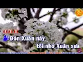 Download Lagu don xuan nay toi nho xuan xua song ca