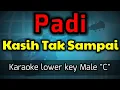 Download Lagu kasih tak sampai - padi (karaoke nada rendah pria)