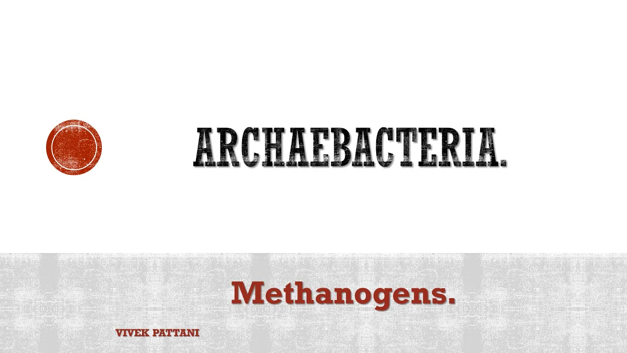 Archaebacteria Metabolism patterns.(methanogens)