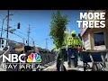 City plants dozens of trees to increase shade beautify San Jose neighborhood