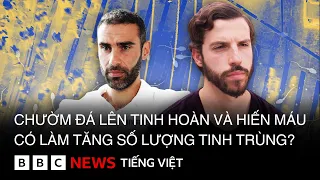 CHƯỜM ĐÁ LÊN TINH HOÀN VÀ HIẾN MÁU CÓ LÀM TĂNG SỐ LƯỢNG TINH TRÙNG?
