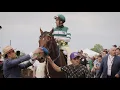 The Personality of a Racehorse the Undefeated Flightline