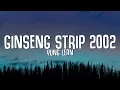 Yung Lean - Ginseng Strip 2002s 