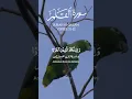 Download Lagu Surah Al-Qalam | Verse (51-52) | By Mishary Bin Rashid Alafasy #shorts #quranrecitation #quran