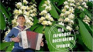 Зелене листя білі каштани 