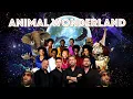 Lagu DJ Cummerbund - Animal Wonderland