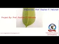 Mango Leaf Disease Detection Using Image Processing With Source Code Plant Disease Using Python