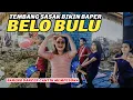 Download Lagu BELO BULU REINATA 05 || TEMBANG SASAK BIKIN BAPER BARENG DANCER CANTIK MEMPESONA DAN MENGGODA