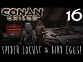 SPIDER LOCUST BIRD EGG - Conan Exiles Season 3