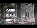 road trip to MAINE with the dogs