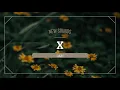 Ana Gabriela - X (Letra/Legendado)
