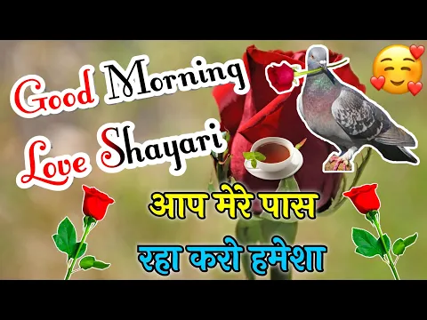 Download MP3 आप हमेशा खुश रहो|| good morning love shayari in Hindi|| new best Hindi shayari|| good morning status