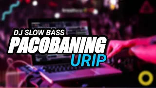 Download DJ PACOBANING URIP FULL BASS MP3