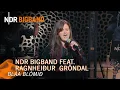 Download Lagu Ragnheiður \u0026 Haukur Gröndal: \