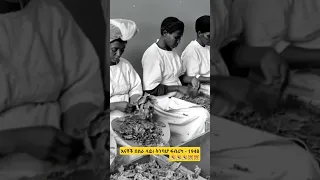 Ethiopian Women At Work Rare 1940s Tobacco Factory Scene In Addis Ababa 
