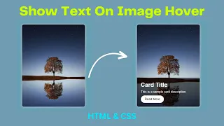 How To Overlay Text On An Image in CSS CSS Image Hover Effects