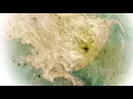 Fvlln - Fading to Light