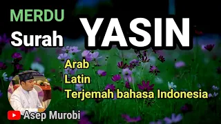 Download SURAT YASIN MERDU. ARAB LATIN DAN TERJEMAH BAHASA INDONESIA MP3