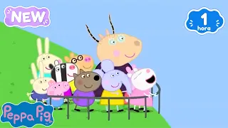⛺ ¡Acampada escolar y más aventuras! 🎒 De vuelta al colegio | Peppa Pig y Amigos en Español